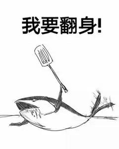 2014年谁会帮你咸鱼翻身