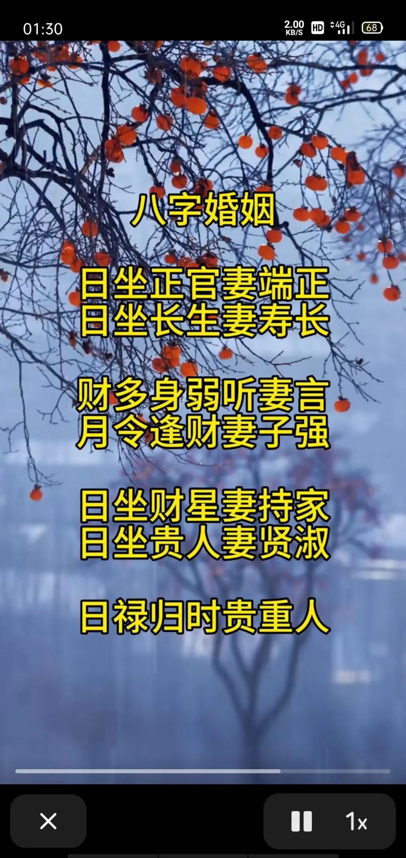 月支与日支相合谁出轨