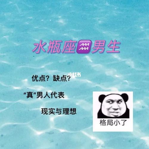 水瓶座男事业成功率高吗