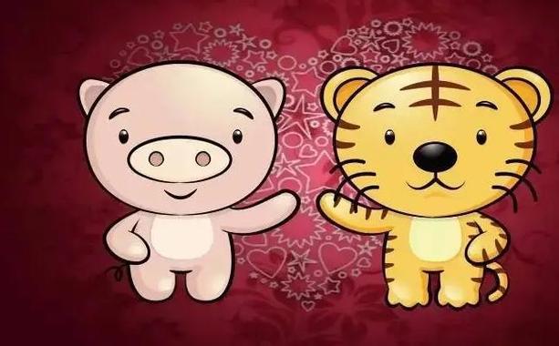 猪和虎为什么6合