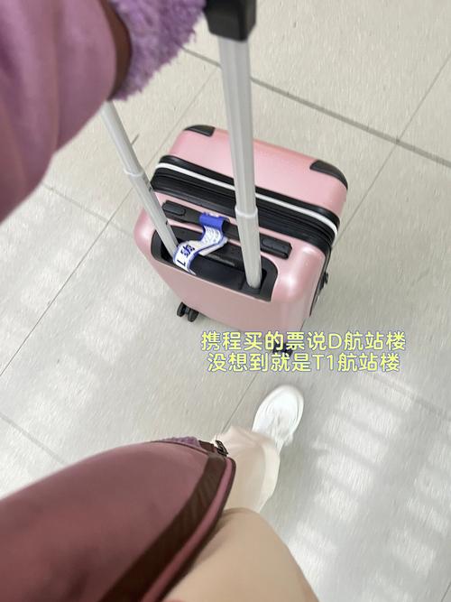 这些星女都为啥路痴呢?