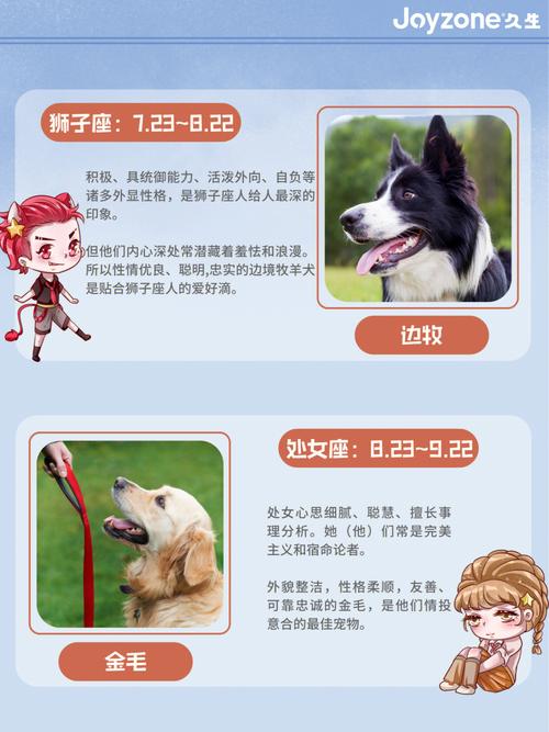 十二星座谁最适合做管理