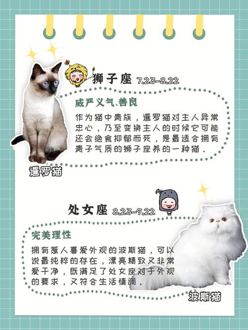喜欢天天抱着猫咪的星座女