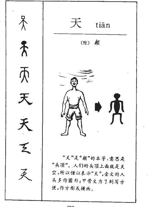 天字五行属什么