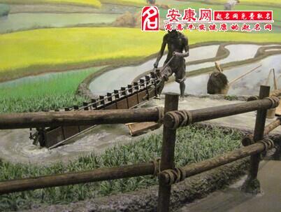 梦见牛耕地是什么意思