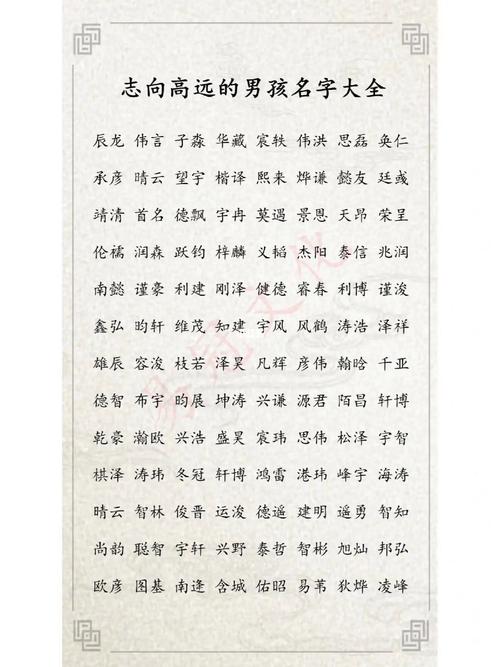 有大志向的男孩名字什么贸好