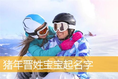 晋姓猪年男宝宝名字