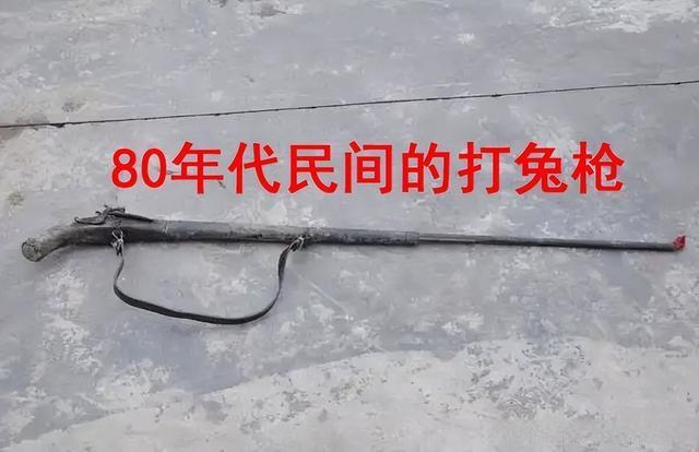 梦见枪打兔子 梦见枪打兔子什么意思