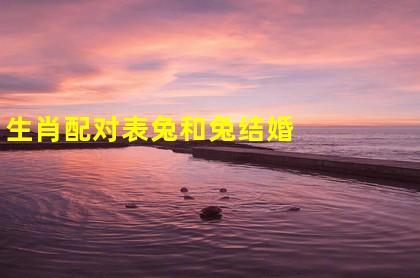 兔和兔的属相适合结婚吗