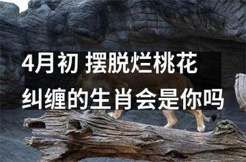 生肖怎样解除烂桃花