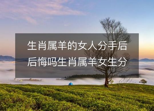 属羊女人对感情的态度怎样