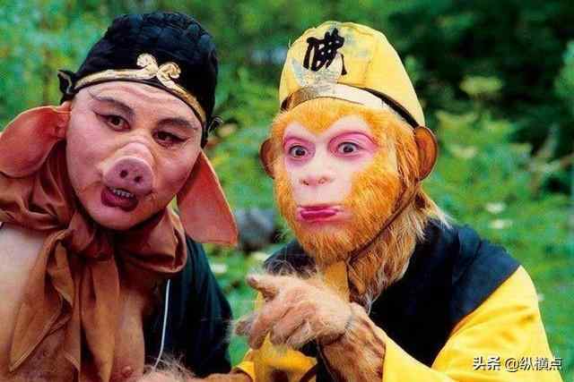 七子八婿是什么生肖