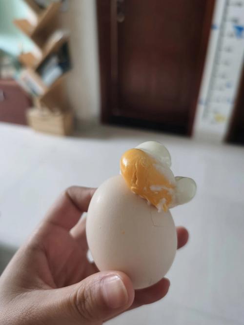 梦见打针过敏,很平静的一天