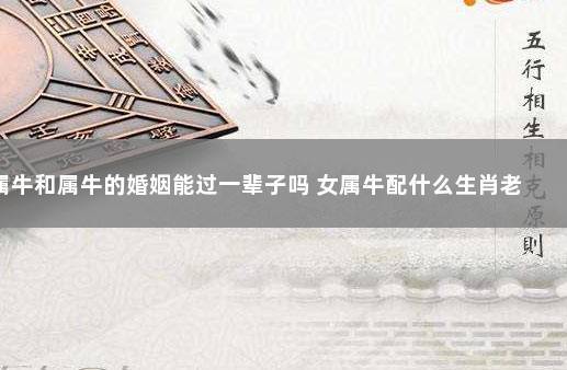牛年配什么生肖结婚好,恋爱建议