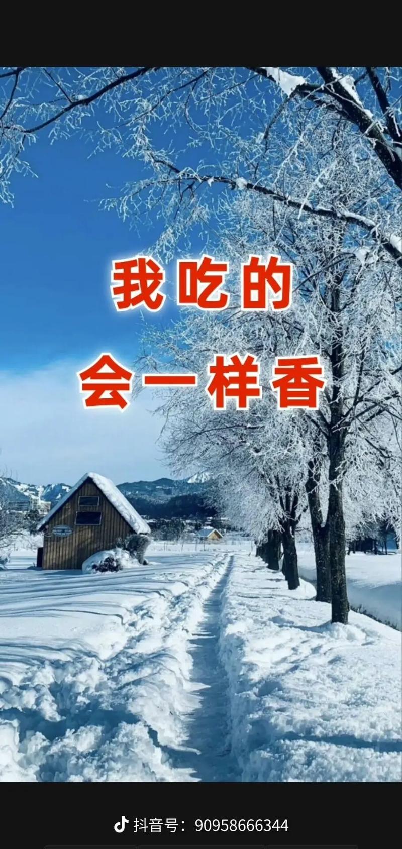 梦见饭里有苍蝇