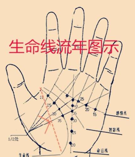 手相两条生命线代表什么