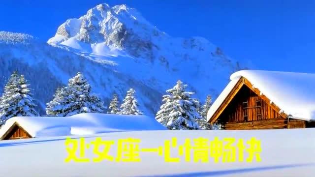 12星座想在下雪天干什么