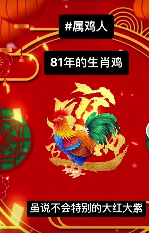属鸡遇哪年好运