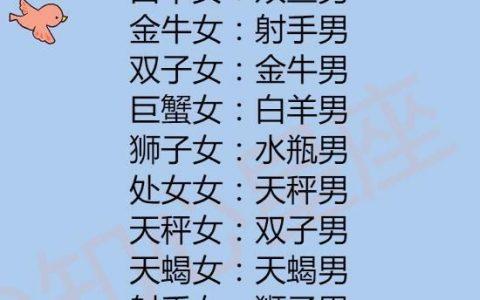 双子座注定错过的星座
