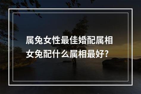 女人属兔的最佳婚配