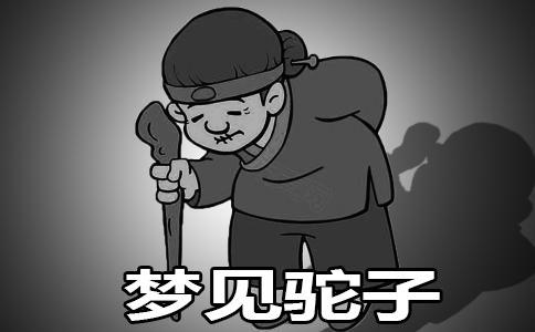 梦到驼背