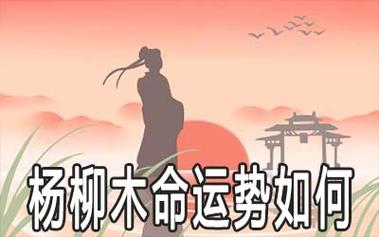 杨柳木命的男人命运运势好不好?