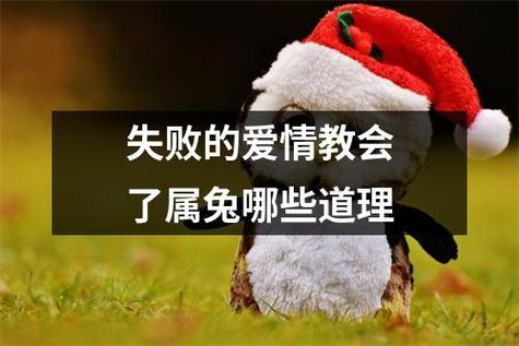 属兔经历什么事情会对爱情失去信心
