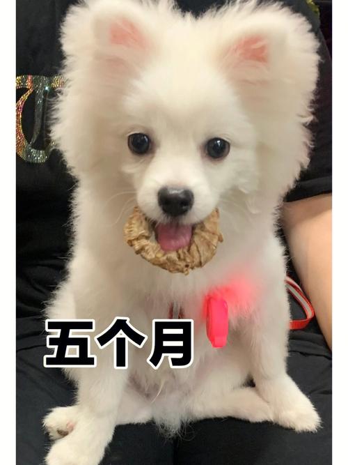 属兔人44岁过七劫