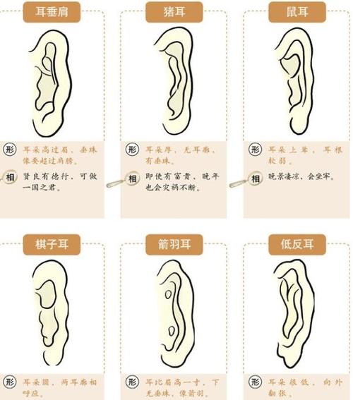 耳相分析 男人耳相看财运