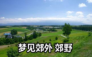 梦见郊外 郊野怎么回事 梦见郊外 郊野有什么预兆