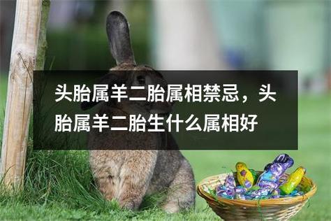 头胎属羊二胎属相禁忌,头胎属羊二胎生什么属相好