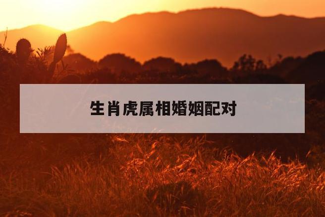 虎配生肖虎婚姻幸福吗