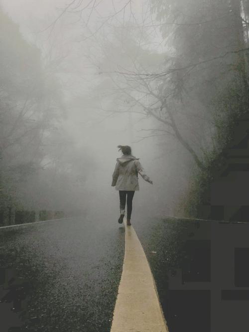 梦见雾中赶路