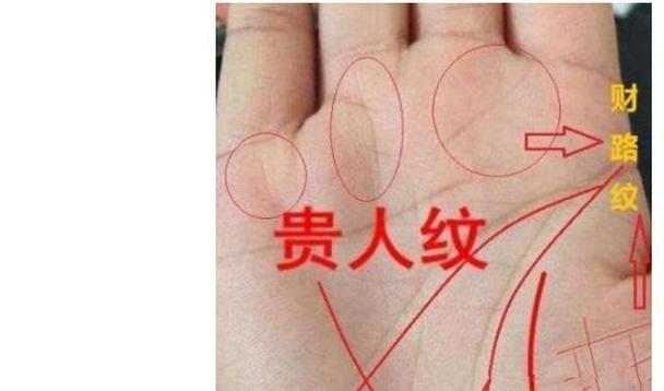 9种手纹的女人命好