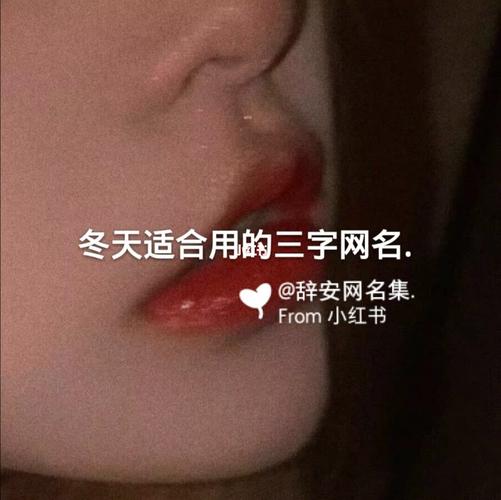 寓意冬天的字取网名能带来好运吗