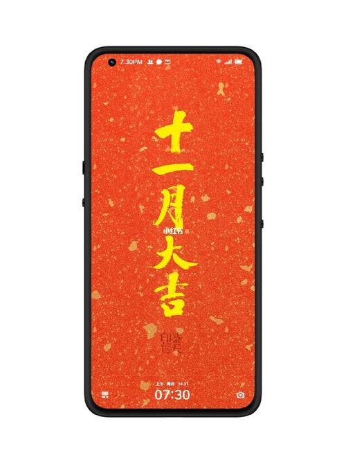 11月2号(大吉大利事业攀升 福星造访大财入账的3属相)