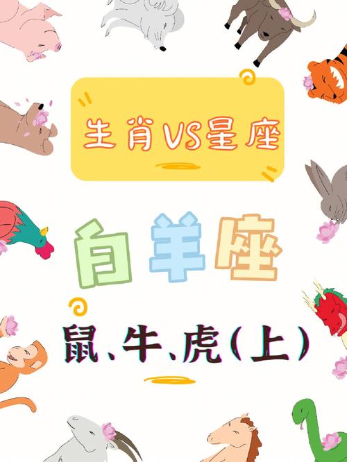 属鼠白羊座和属狗摩羯座配不配