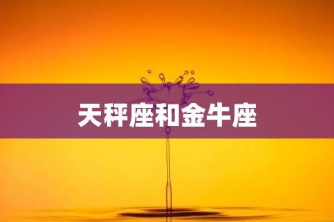 天秤金牛谁离不开谁