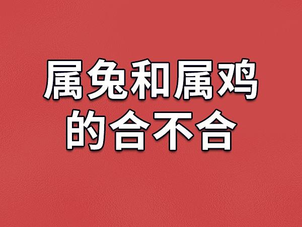 怎么收住属兔男生的心