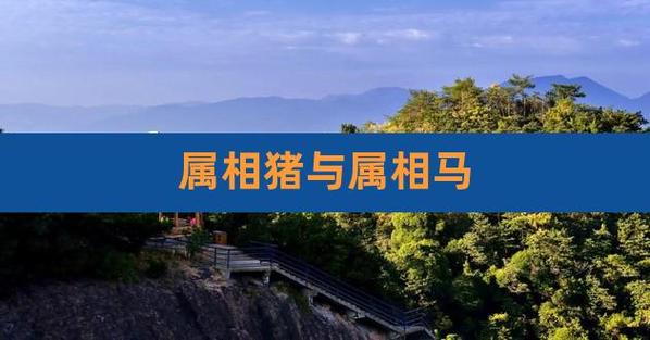 猪(男)配对十二生肖:猪+马