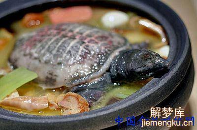 梦见吃鳖肉