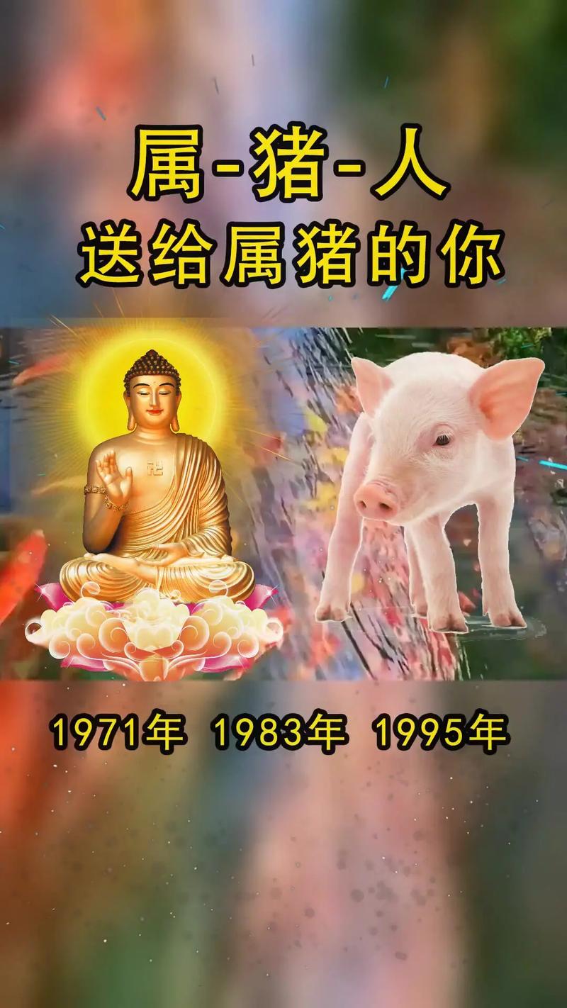 属猪几点出生有福