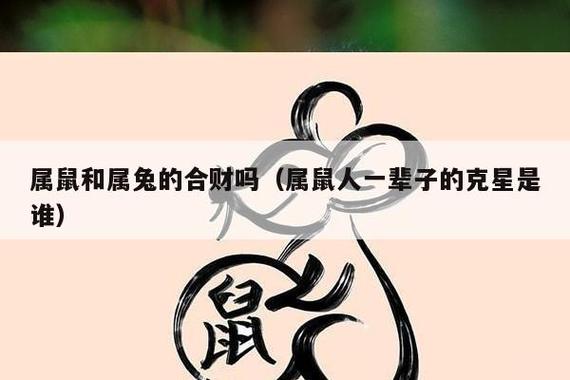属鼠的和属兔一起财运好吗