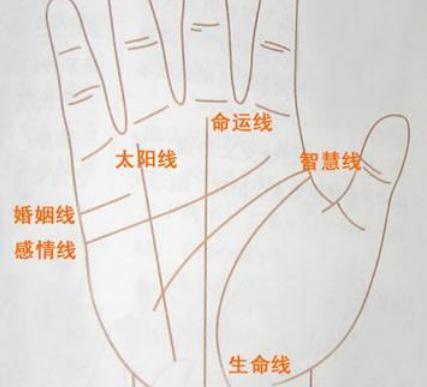 断掌的女人适合找多大的男人,断掌的女人克夫克子吗