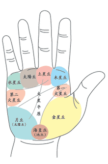 八大财运体相好到爆