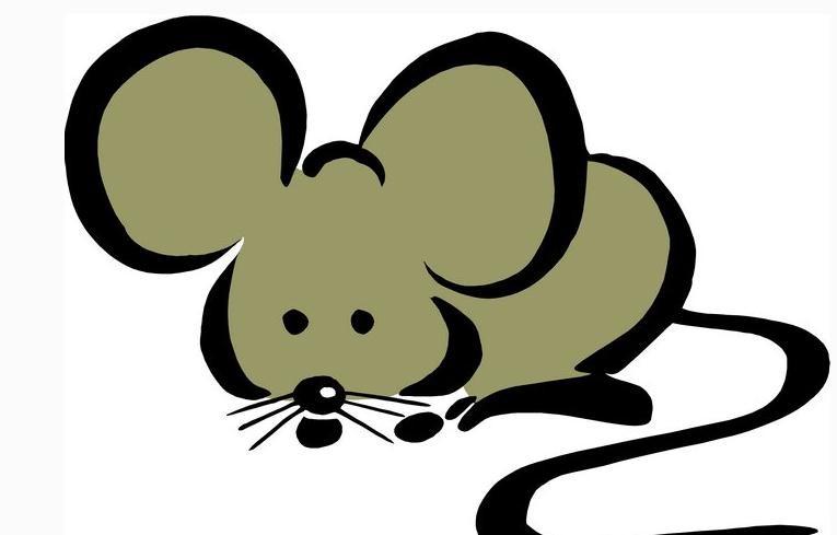 老公属鸡今年可以生个属鼠的孩子吗?鼠宝宝性格特点?