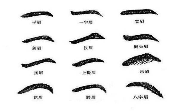 狮子眉面相解析