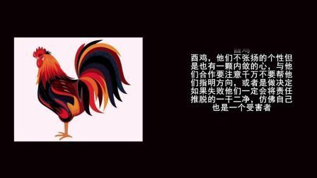 最容易犯错误的生肖们