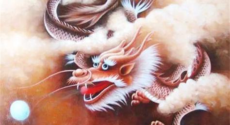 揭秘属龙的狡猾指数
