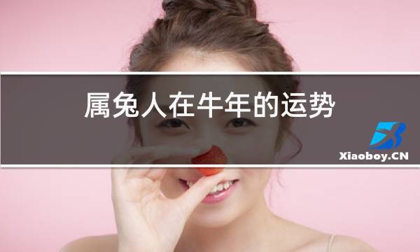 属兔在牛年运势如何